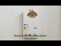 دمای دیجیتال تنظیم شده گاز خروجی اجباری آبگرمکن کارایی بالا 12L - 24L